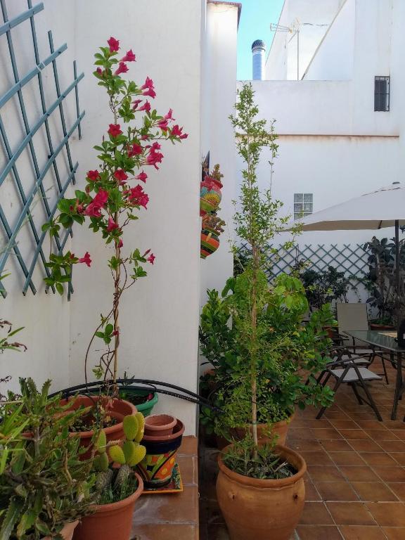 CASA RURAL con Chimenea, Barbacoa, Terraza y Solarium ...
