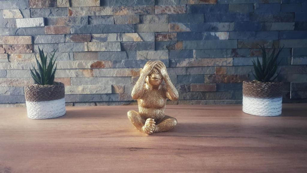 Disneyland Expérience !! - 16