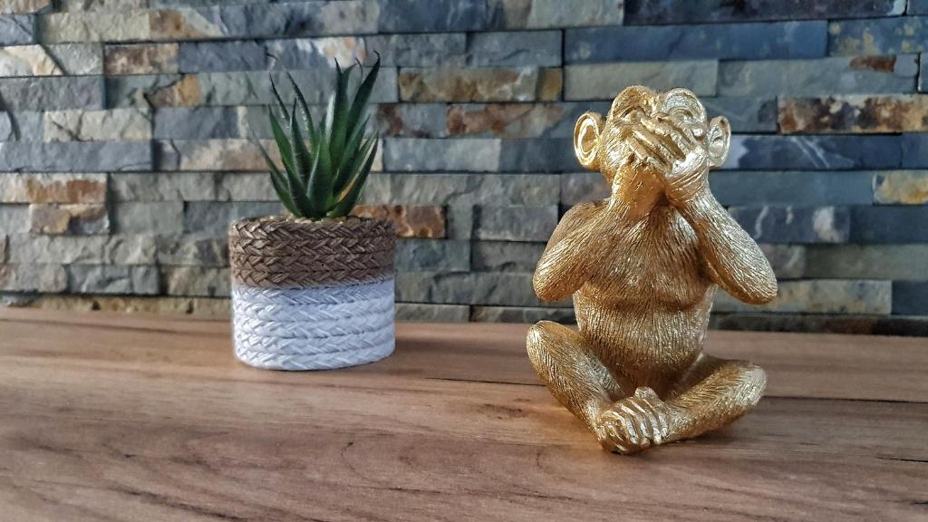 Disneyland Expérience !! - 17