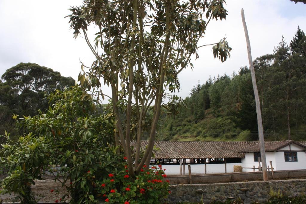 Hacienda La Merced Baja - Tweepersoonskamer