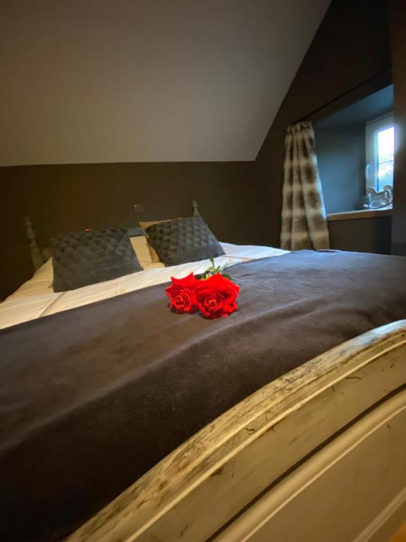 a red rose sitting on top of a bed at La maison du Lac in Spa