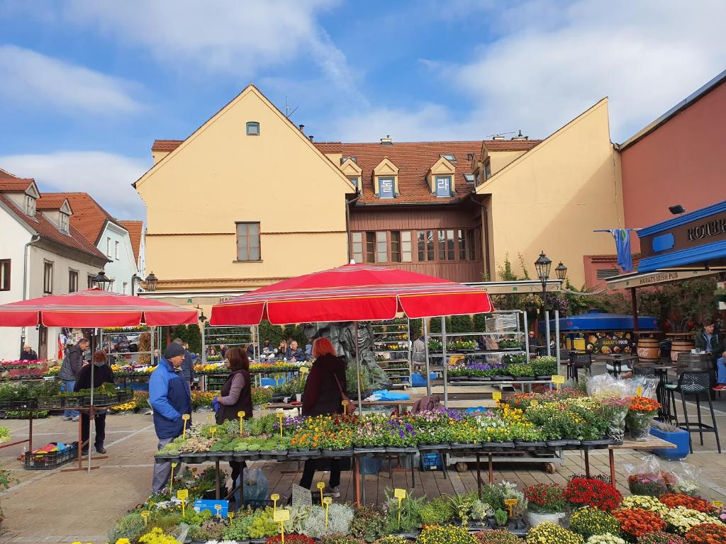 a group of people walking around a market with flowers at Dolac Guesthouse in Zagreb