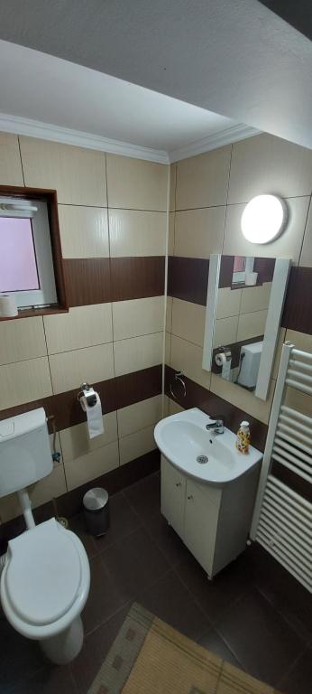 Koupelna v ubytování Cabana Mea STRAJA