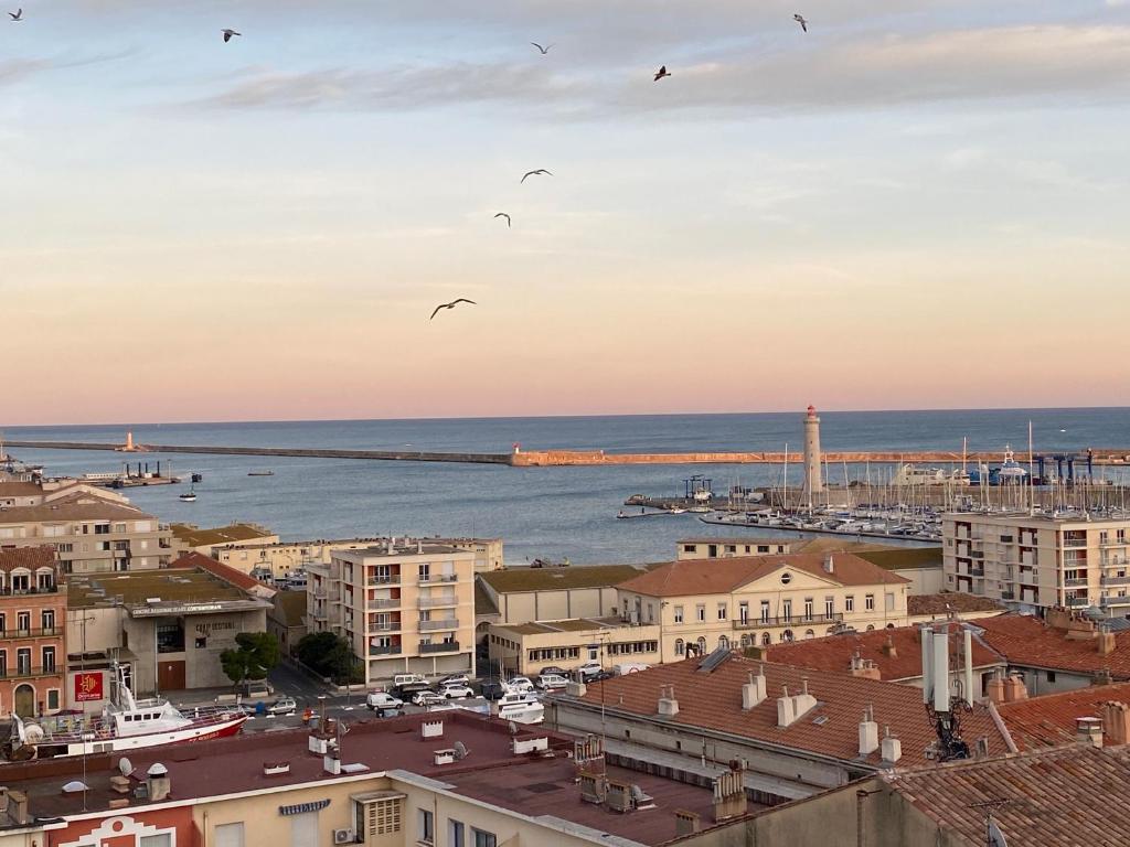 セットにあるVues exceptionnelles mer, port et toits de Sèteの海上を飛ぶ鳥の群れ