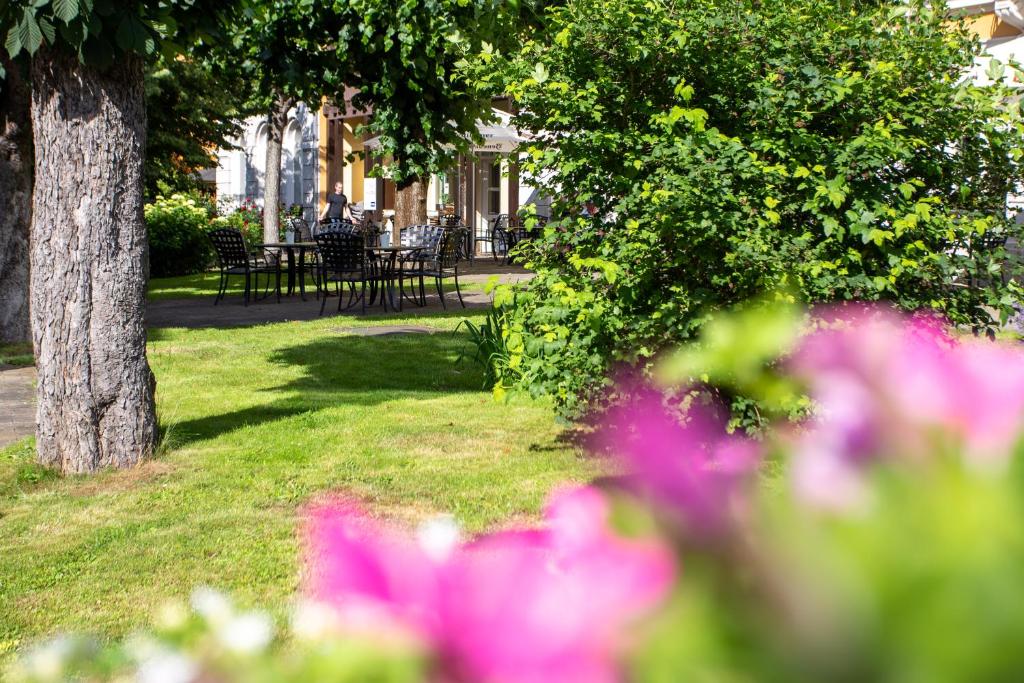 Zahrada ubytování Hotel Lindenhof Bad Schandau