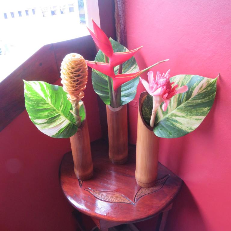 a group of three plants in vases on a table at Micaval Residential in São Tomé