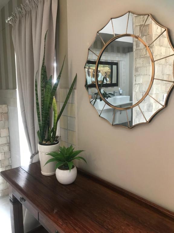 a mirror on a wall with two plants on a table at Langebaan Golf Studio A1 - Langebaan Golf Estate in Langebaan