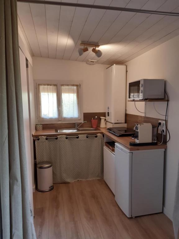 a small kitchen with a counter and a microwave at Un jardin en ville in Talence