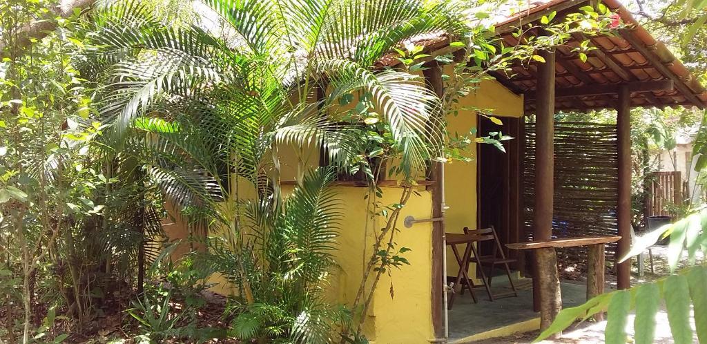 een geel huis met een palmboom ervoor bij Pousada Aldeia de Morere in Moreré