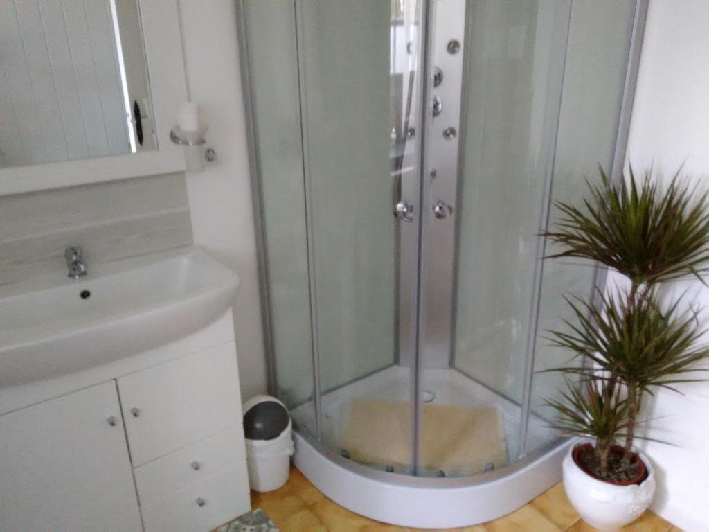 a bathroom with a shower and two potted plants at Four chimneys in Treffrin