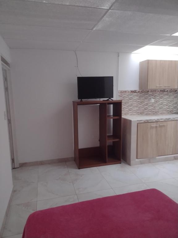 TV a/nebo společenská místnost v ubytování Hotel Risaralda