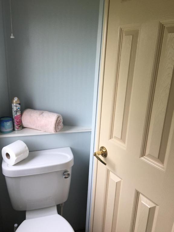 a bathroom with a toilet with a roll of toilet paper at Willerby in Leysdown-on-Sea