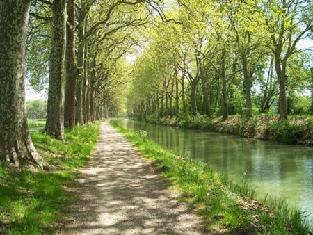 een met bomen omzoomd pad naast een rivier bij Un coin de campagne à 4km de la mer pour 4 à 6 personnes in Portiragnes