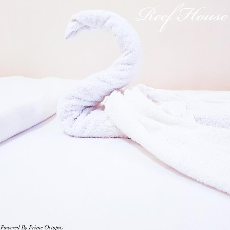 Reef Guest House - 6