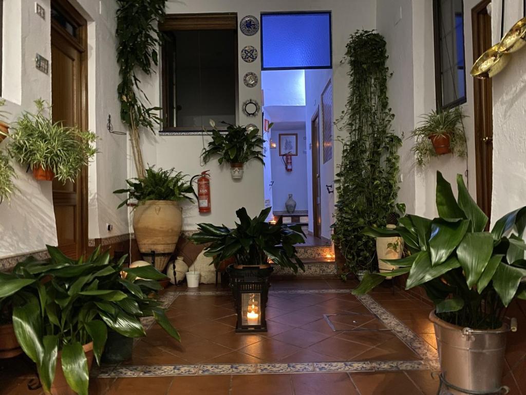 Pension San Pancracio, Seville – Updated 2023 Prices