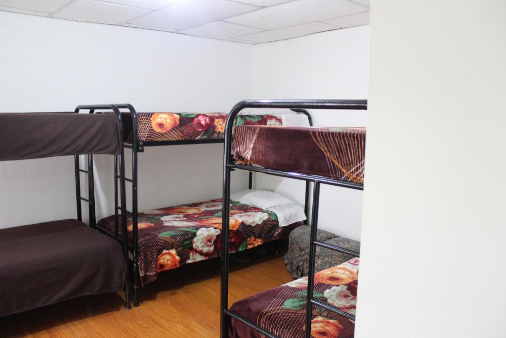 Palanda nebo palandy na pokoji v ubytování Hostal Cafe San Bernabe