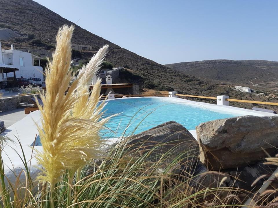 Πισίνα στο ή κοντά στο 3 Paros *All Season* Villas