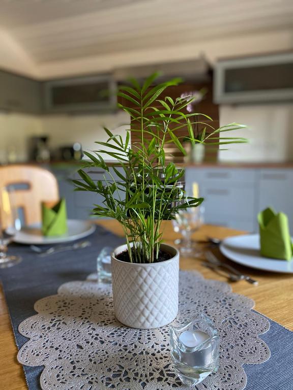 Kuchyň nebo kuchyňský kout v ubytování Apartment Bergfeeling