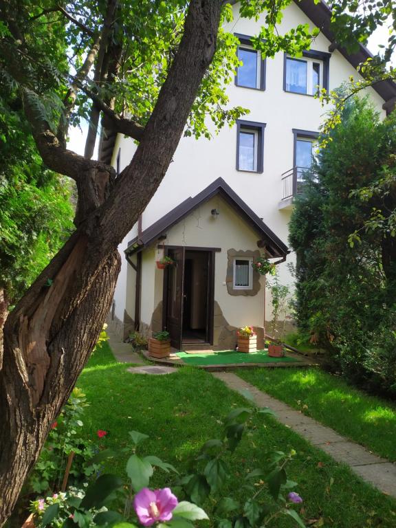 克洛斯常葛的住宿－Pokoje gościnne u Zosi Krościenko，前面有院子的白色房子