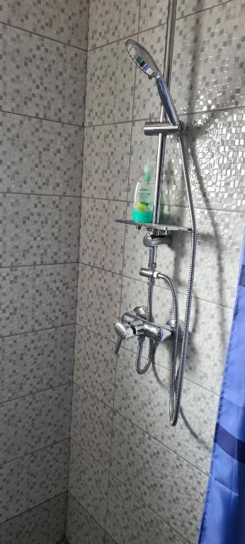 Elena Haus - Resim 7