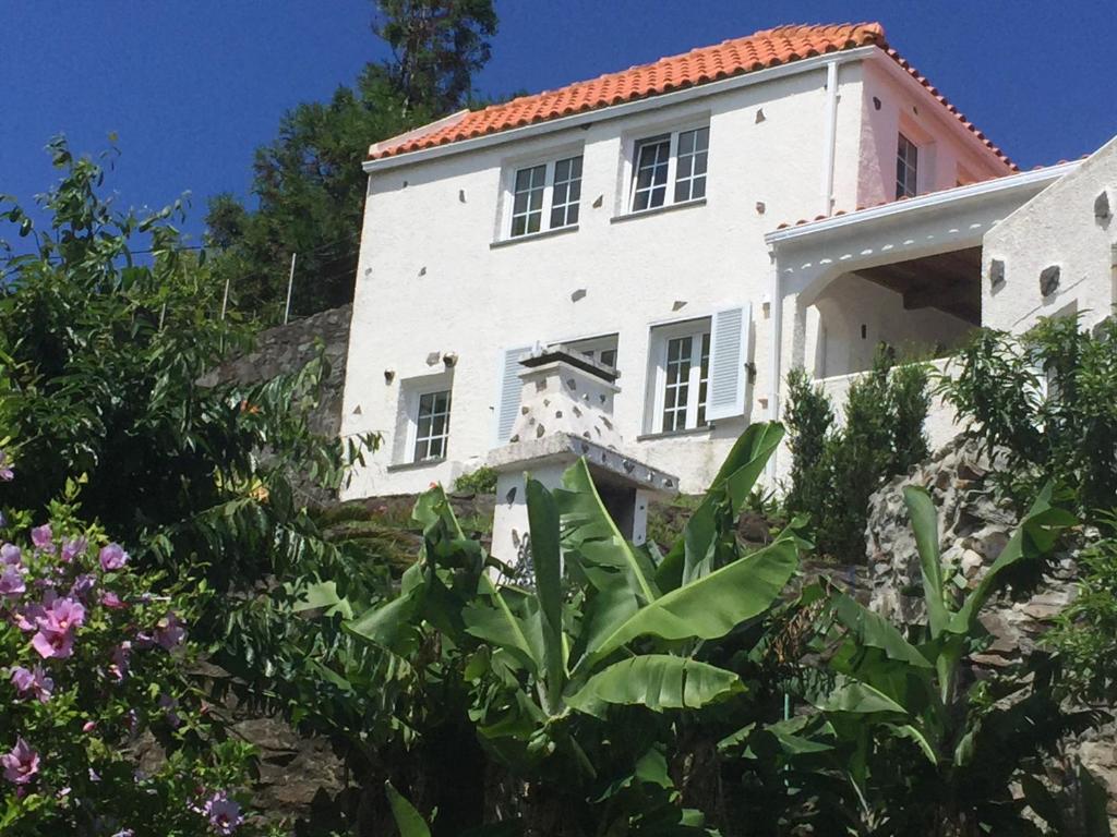 uma velha casa branca numa colina com plantas em Vivenda Flores - Apartment Hibisco em Lomba