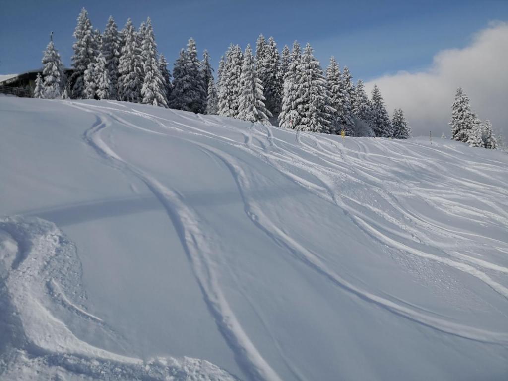 Chalet Bella v zime