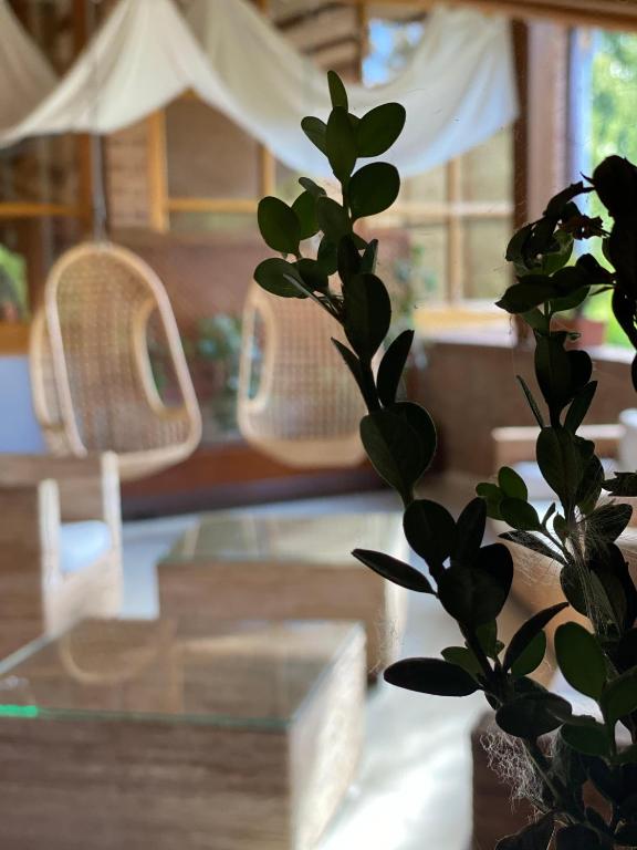 Posezení v ubytování Hotel Jakue