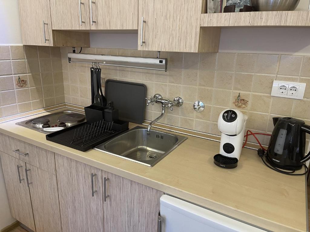 Kuchyň nebo kuchyňský kout v ubytování YelaYeti Apartments