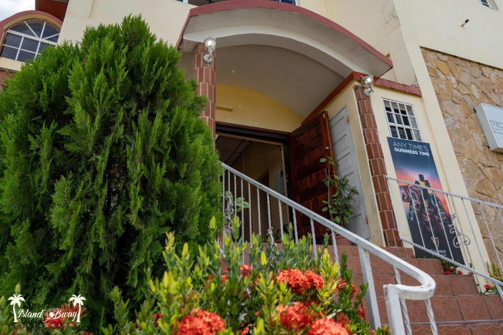 a front door of a house with a tree and flowers at Yellow Belly Backpackers in San Ignacio