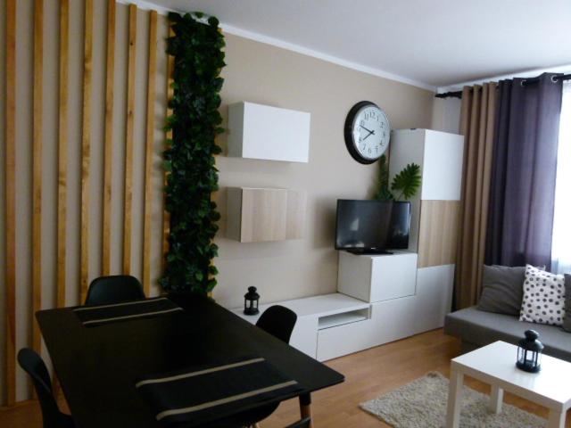 Televízia a/alebo spoločenská miestnosť v ubytovaní Apartament BB Czarny potok
