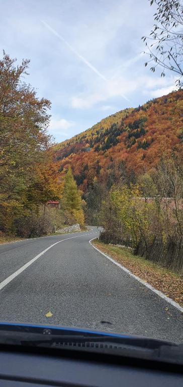 an empty road in the middle of a mountain at Căsuța din pădure de la Câmpu lui Neag in Cîmpu lui Neag