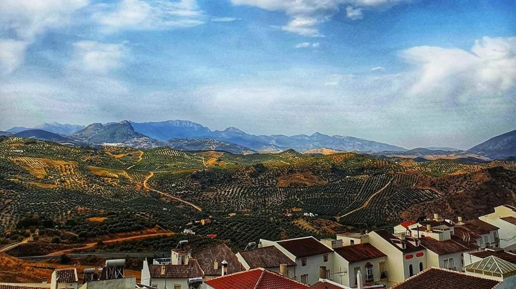 Olive Tree Guest House - 17