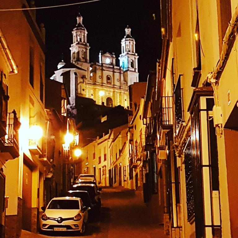 Olive Tree Guest House - 18