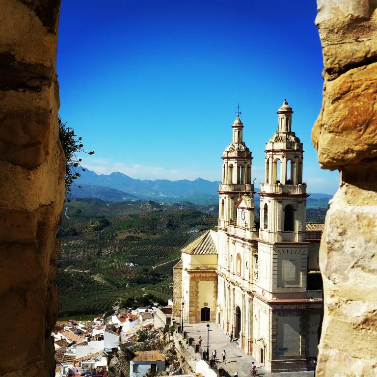 Olive Tree Guest House - 19