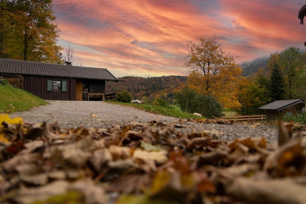 ein Haus auf einer Straße mit einem Haufen Blätter in der Unterkunft Romantisches Berg-Chalet in Bayrischzell