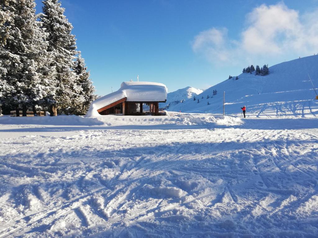 Holzfällerhaus Melkstatt v zime