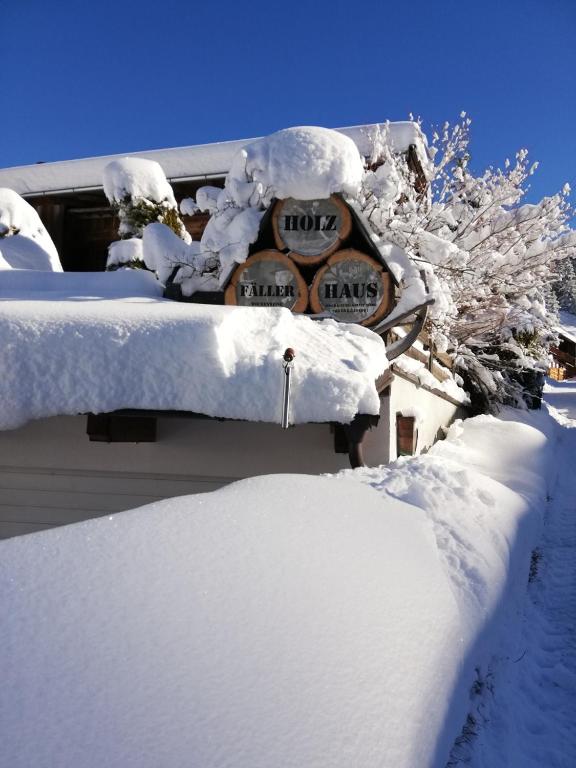 Holzfällerhaus Melkstatt v zime