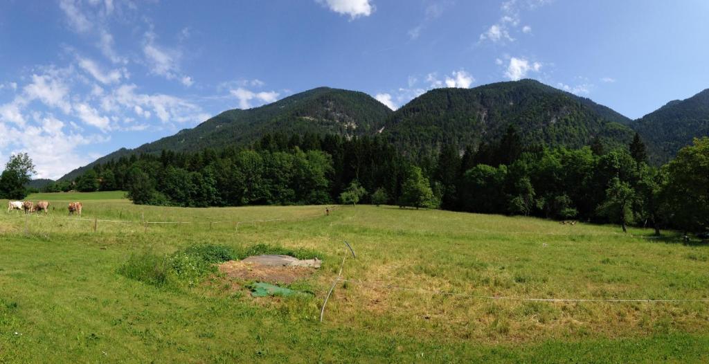 Příroda nedaleko apartmánu