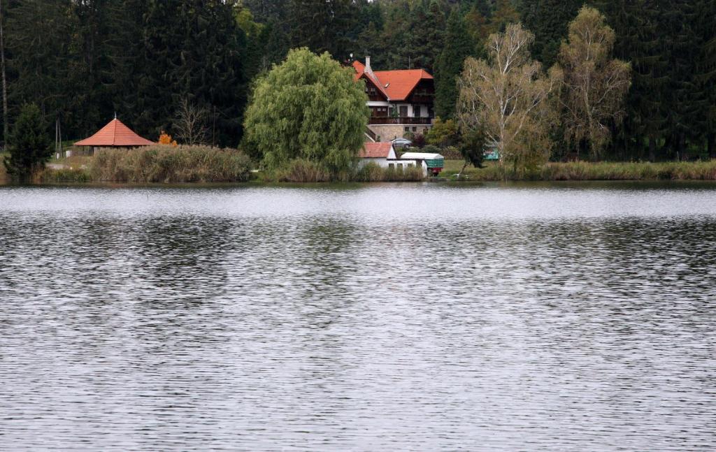 a house sitting on the edge of a large lake at Ágneslaki Ökoturisztikai Centrum és Vadászház in Nagykanizsa