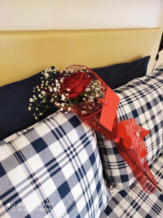 B&B Roomantic & Piscina Idromassaggio - 9