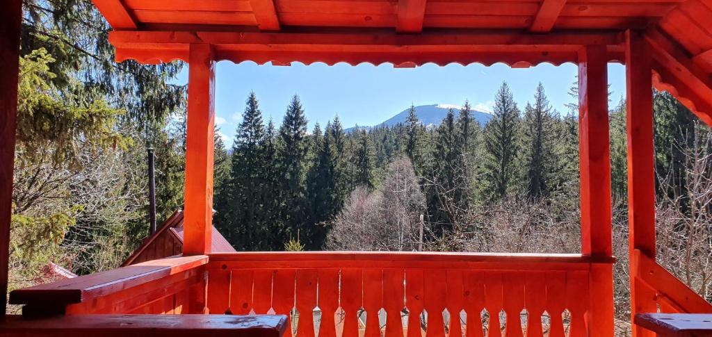 a window in a red room with a view of trees at Căsuța din pădure de la Câmpu lui Neag in Cîmpu lui Neag