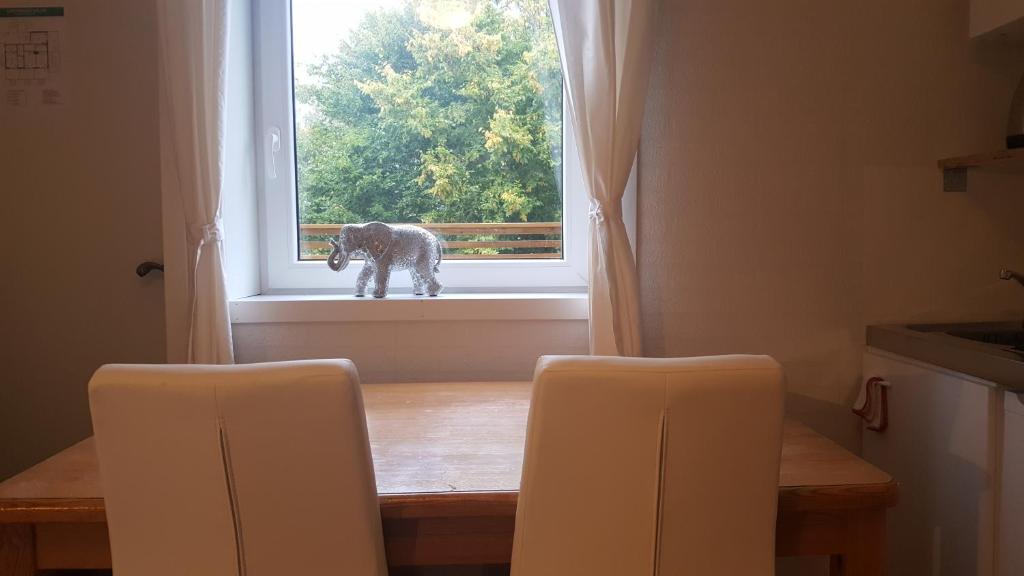 Domácí mazlíčci ubytovaní s hosty v ubytování SJÖTORPS HOSTEL