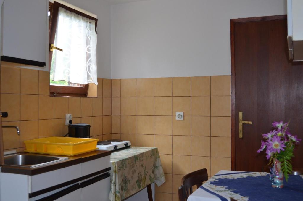 Kuchnia lub aneks kuchenny w obiekcie Apartments Drita