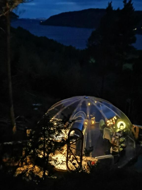 Příroda nedaleko luxury tent