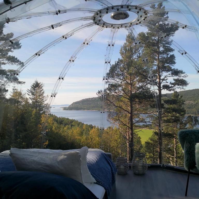 Příroda nedaleko luxury tent