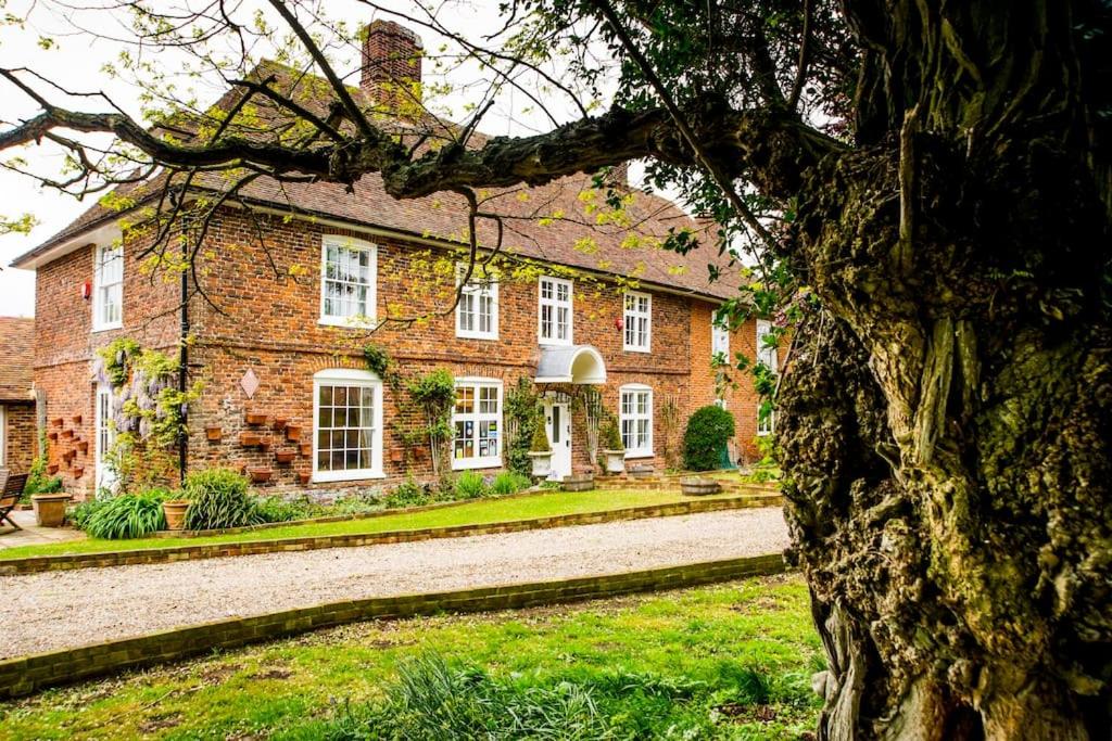Molland Manor House Self catering (10 bedrooms 9 bathrooms) - Holiday Home