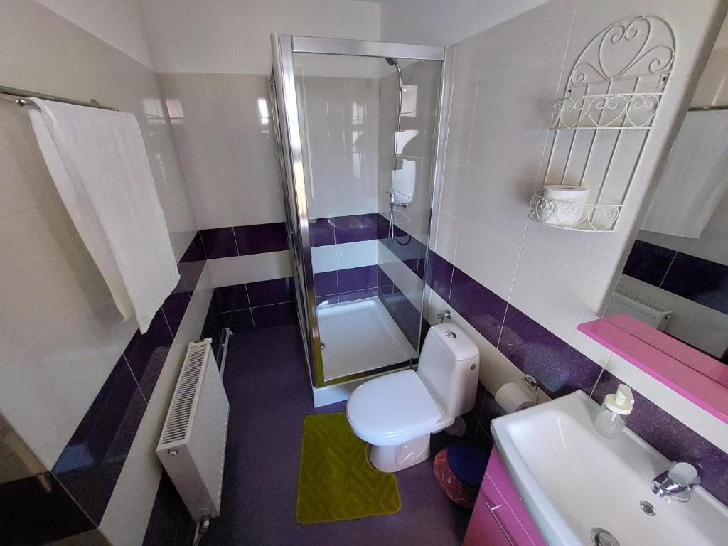 Pensiunea Vera - Double Room With Mountain View