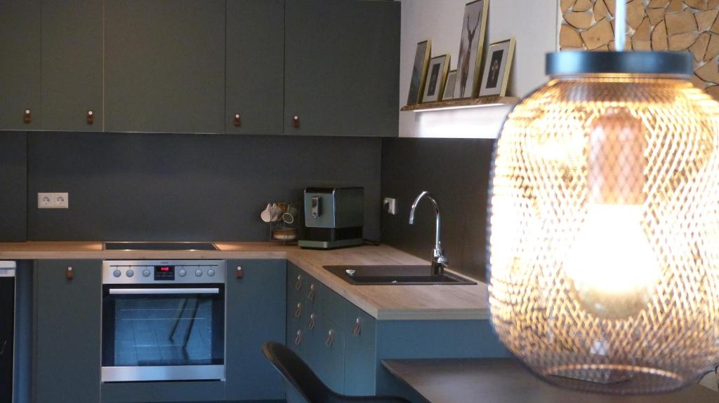 een keuken met een licht boven een wastafel bij Schwarz I wald Apartment in Freudenstadt