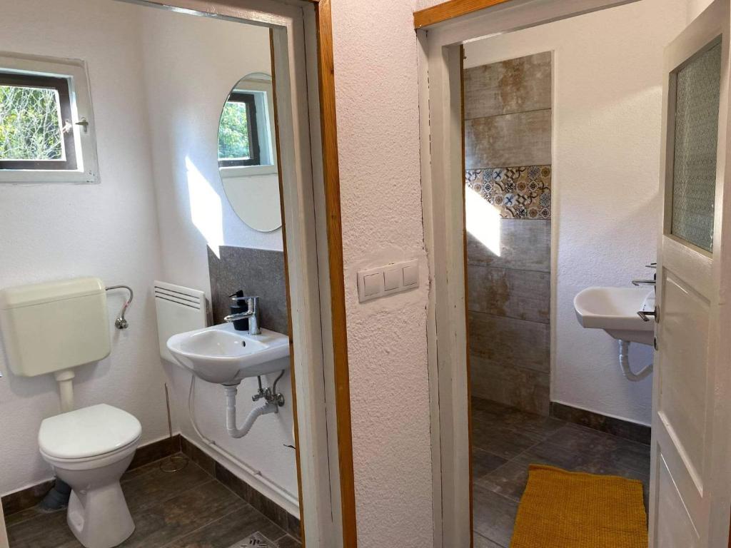 Koupelna v ubytování Casa Bucataria Fonix