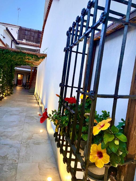 Zahrada ubytování El Patio de los Jazmines Boutique-House